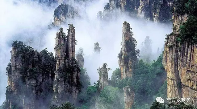 東方龍商務(wù)與張家界經(jīng)濟(jì)開發(fā)區(qū)達(dá)成委托招商引資合作，助力打造生態(tài)工業(yè)新城