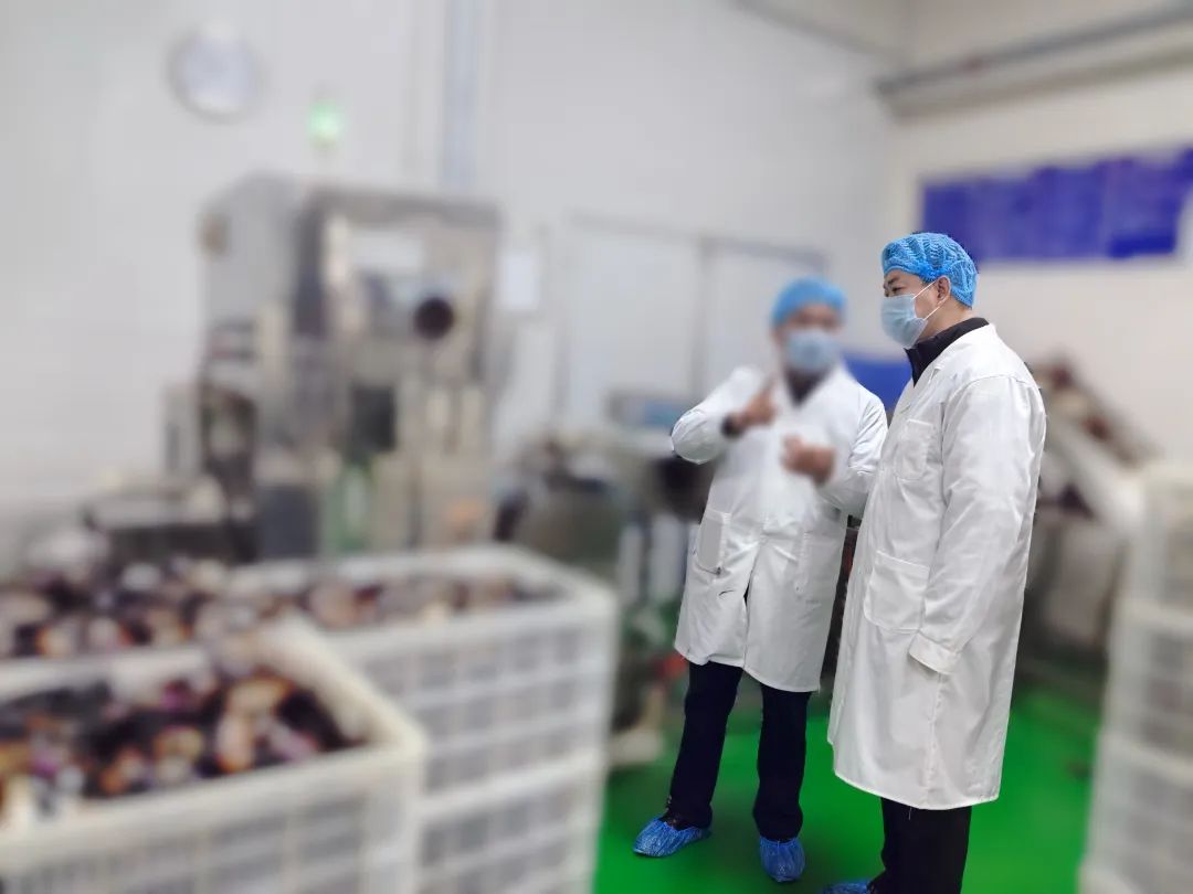 20年老牌企業(yè)，多家知名連鎖品牌合作商！四川某地方政府實地對接品牌休閑食品擴建投資選址項目